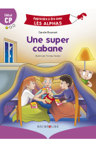 Une super cabane