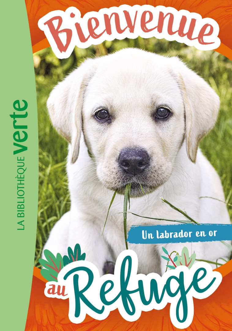 Bienvenue au refuge 08 - Un labrador en or - Hachette Livre, Pascal Ruter - HACHETTE JEUN.