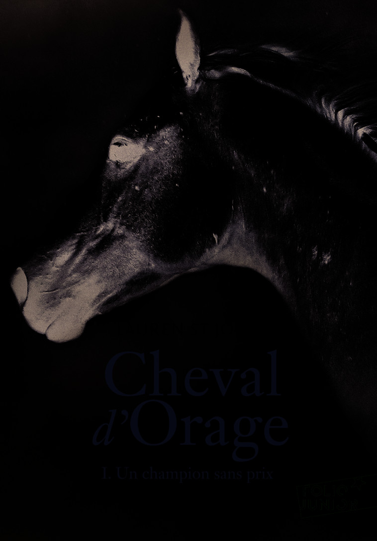 Cheval d'Orage - Lauren St John, Alice Marchand, Lauren St John, Alice Marchand - GALLIMARD JEUNE