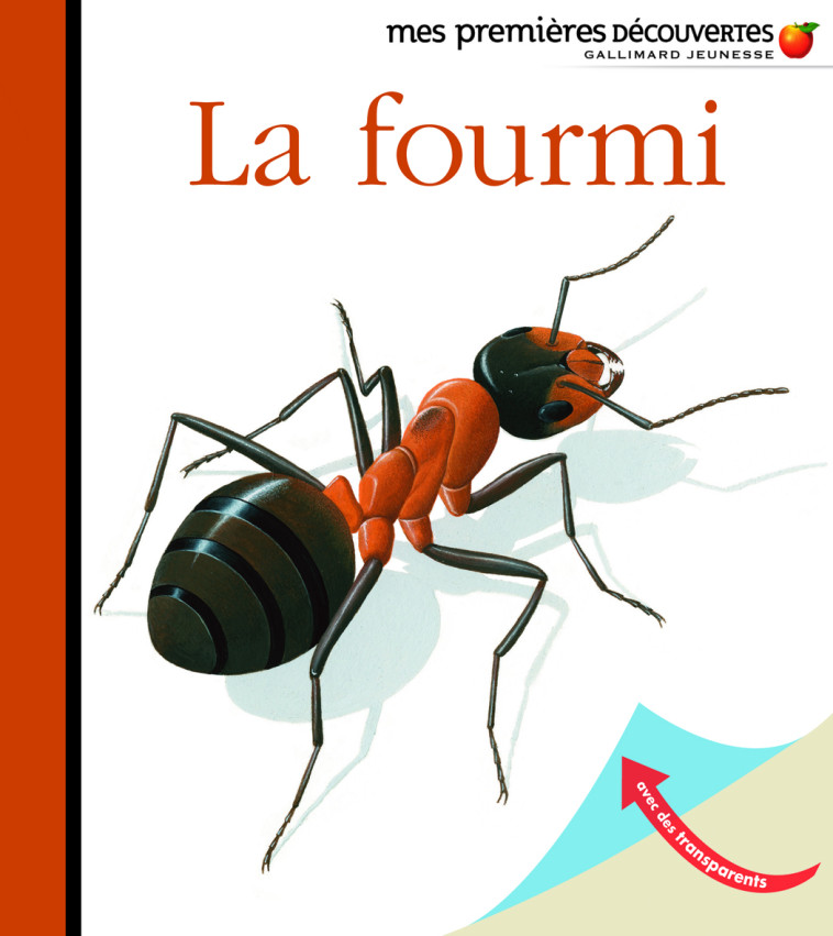 La fourmi - RENE METTLER, RENE METTLER - GALLIMARD JEUNE