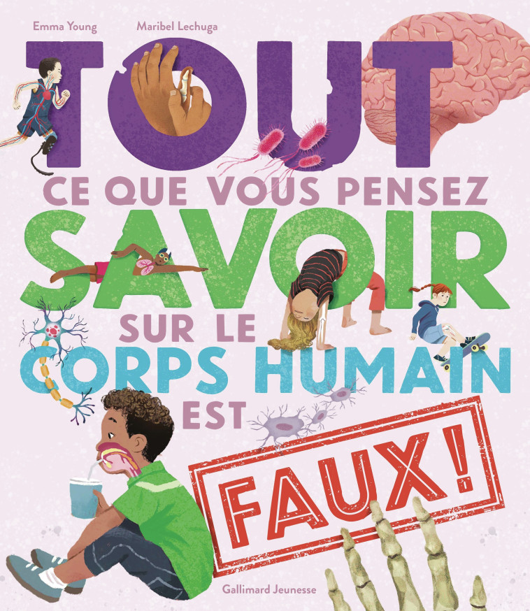 Tout ce que vous pensez savoir sur le corps humain est faux ! -  EMMA YOUNG, Emma Young, Maribel Lechuga, Bérengère Viennot, Emma Young, Maribel Lechuga, Bérengère Viennot - GALLIMARD JEUNE