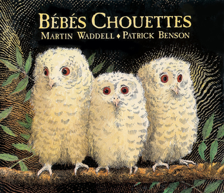 Bébés Chouettes - Martin Waddell, Patrick Benson, Martin Waddell, Patrick Benson, Isabel Finkenstaedt - EDL