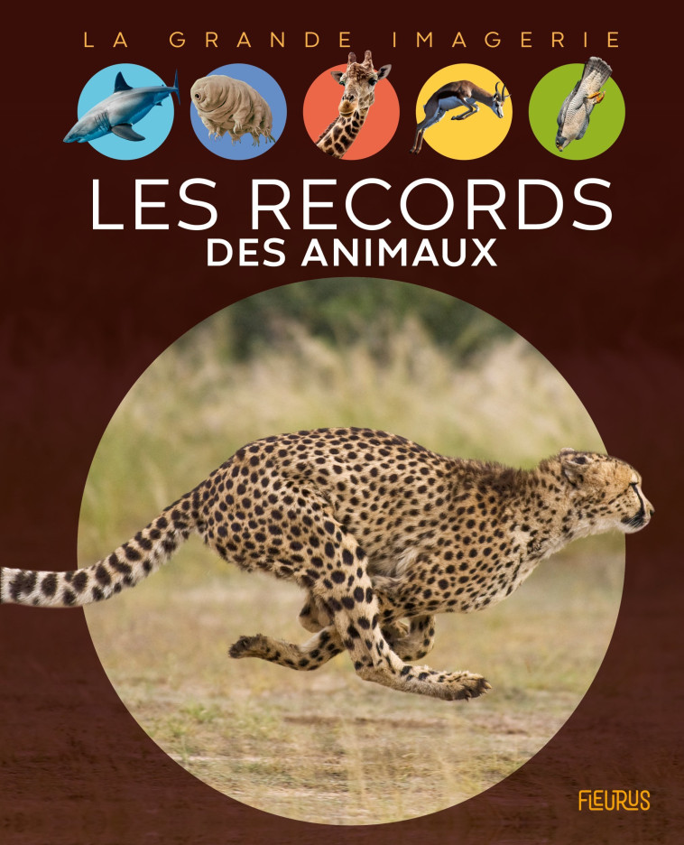Les records des animaux - Cathy Franco, Cathy Franco - FLEURUS