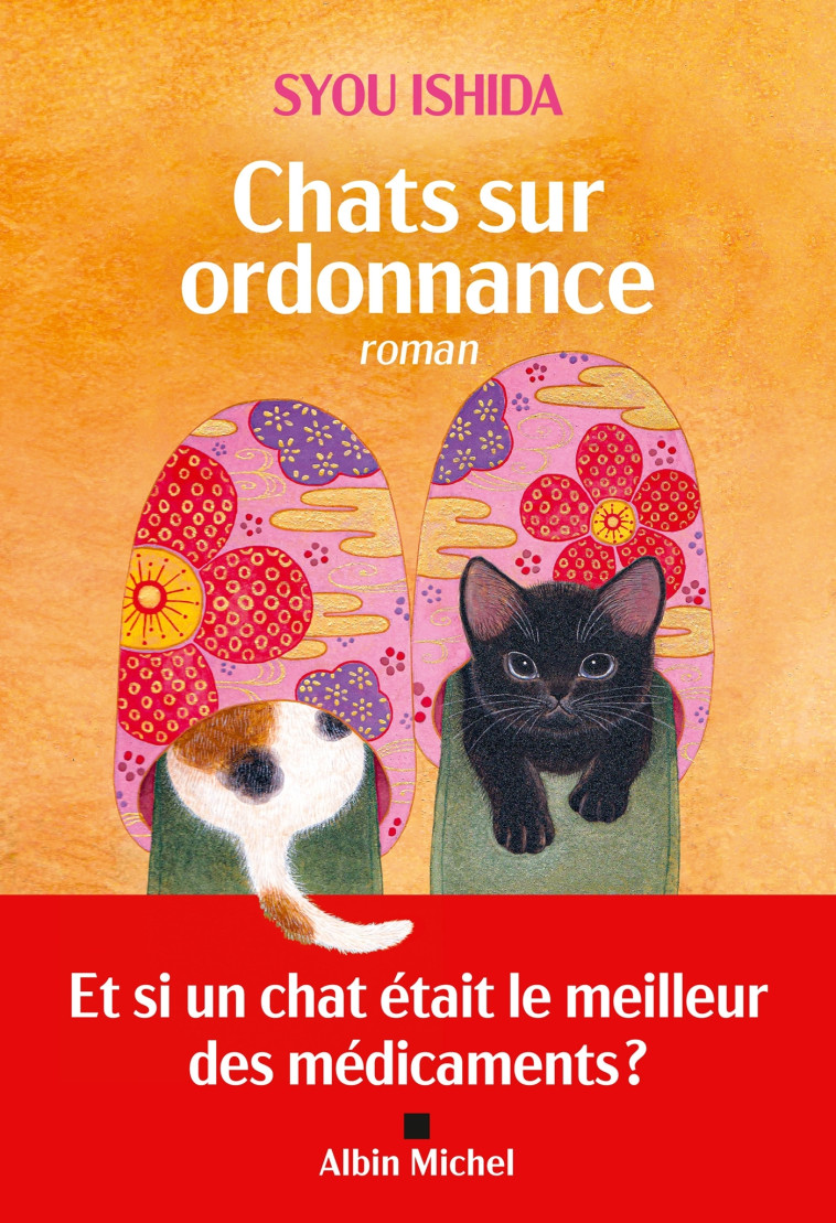 Chats sur ordonnance - Syou Ishida, Diane Durocher, Syou Ishida, Diane Durocher - ALBIN MICHEL