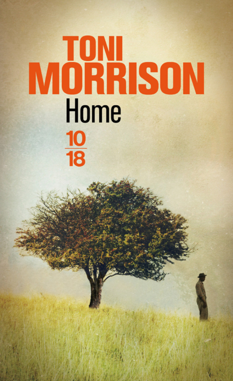 Home - Toni Morrison, Christine Laferrière - 10 X 18