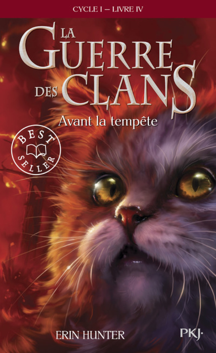 La guerre des Clans - cycle I - tome 4 Avant la tempête -poche- - Erin Hunter, Cécile Pournin, Erin Hunter, Cécile Pournin - POCKET JEUNESSE
