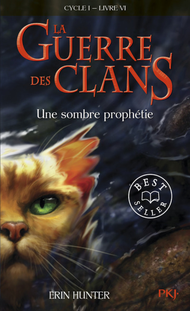 La guerre des Clans - cycle I - tome 6 Une sombre prophétie -poche- - Erin Hunter, Aude Carlier, Erin Hunter, Aude Carlier - POCKET JEUNESSE
