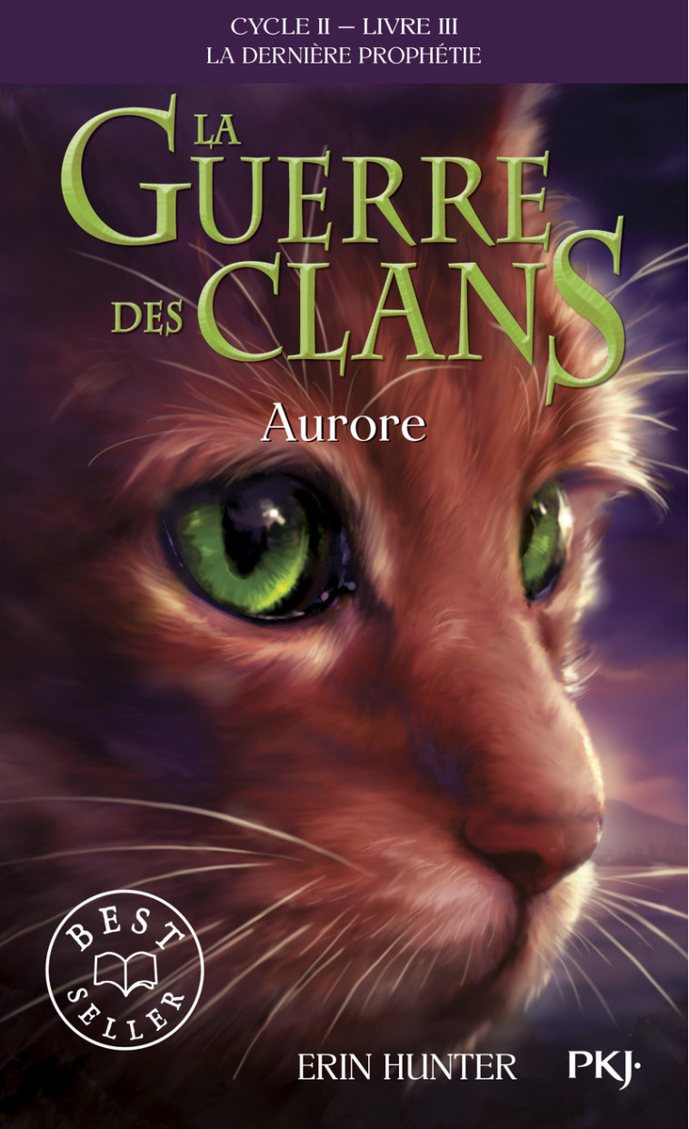 La guerre des Clans - cycle II La dernière prophétie - tome 3 Aurore -poche- - Erin Hunter, Aude Carlier - POCKET JEUNESSE