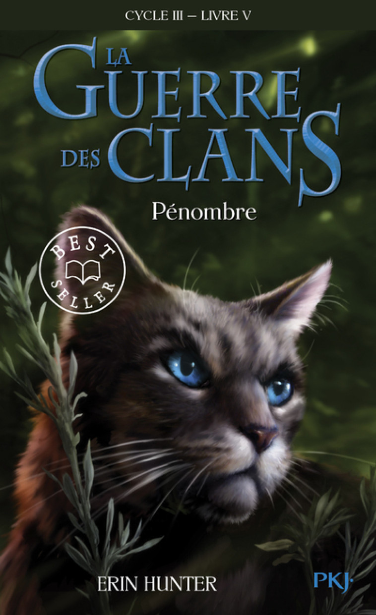 La guerre des Clans - Cycle III Le pouvoir des étoiles - tome 5 Pénombre - Erin Hunter, Erin Hunter - POCKET JEUNESSE