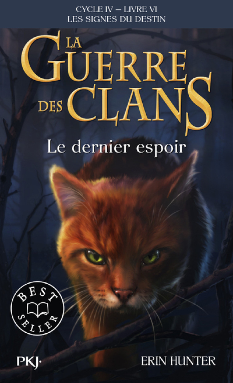 La guerre des Clans, Cycle IV - Tome 6 Le dernier espoir - Erin Hunter, Aude Carlier, Erin Hunter, Aude Carlier - POCKET JEUNESSE