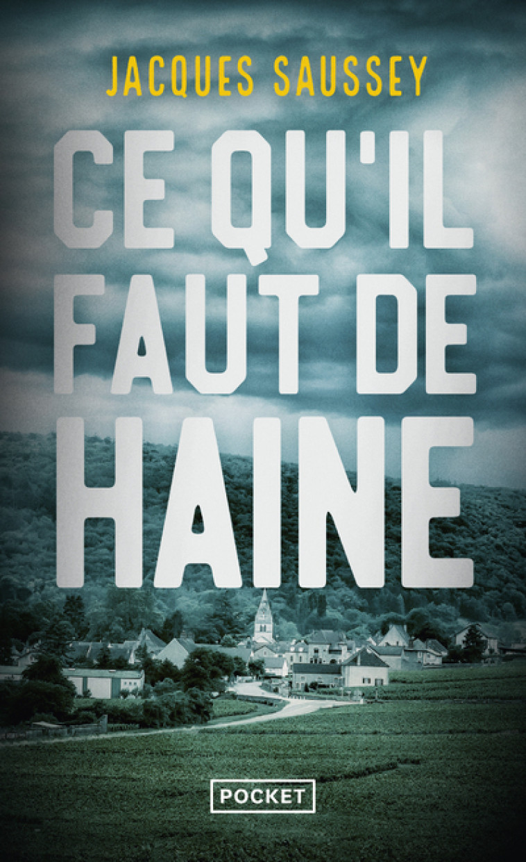 Ce qu'il faut de haine - Jacques Saussey, Ingrid Donnadieu, Jacques Saussey - POCKET