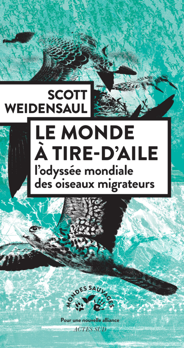 Le monde à tire-d'aile - Weidensaul Scott, Anne Steiger, Weidensaul Scott, Anne Steiger - ACTES SUD