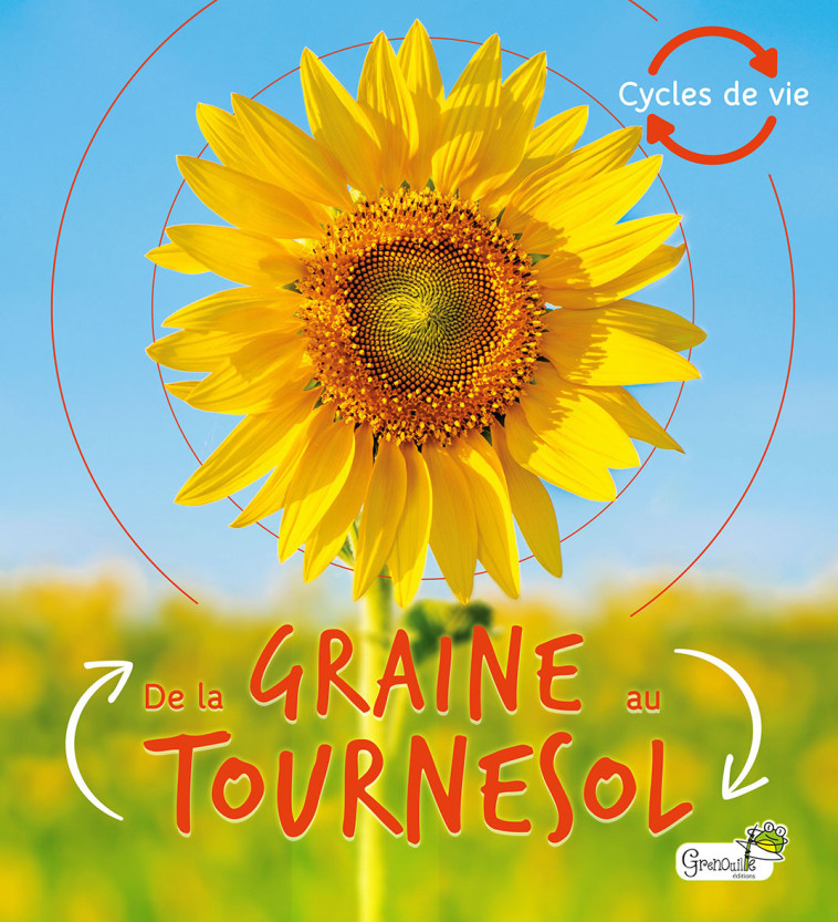 De la graine au tournesol - Camilla de la Bédoyère - GRENOUILLE