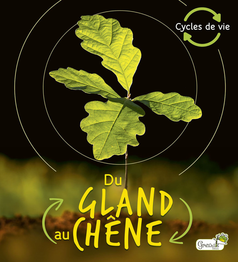 Du gland au chêne - Vincent Coigny, Camilla de la Bédoyère - GRENOUILLE
