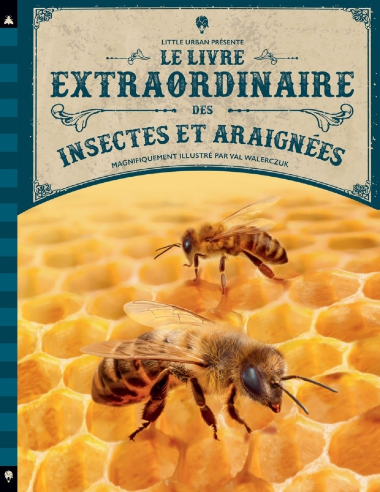 Le Livre extraordinaire des insectes et araignées - Taylor Barbara Taylor Barbara, WALERCZUK Val WALERCZUK Val,  Taylor Barbara,  WALERCZUK Val - LITTLE URBAN