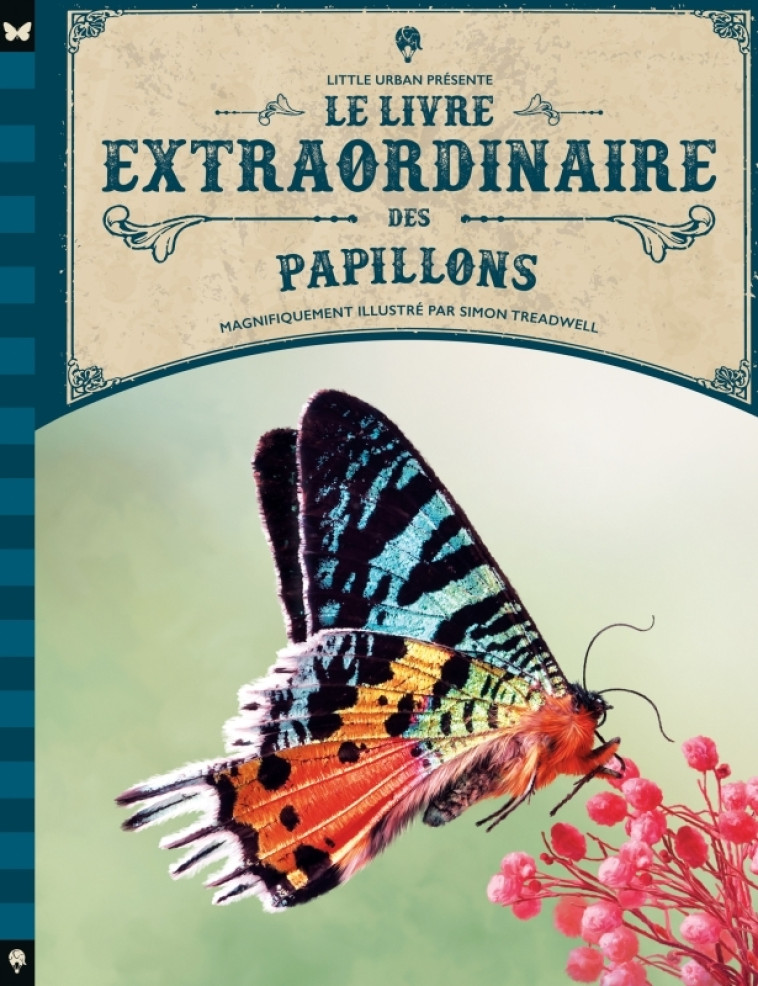 Le livre extraordinaire des papillons - Taylor Barbara Taylor Barbara, Treadwell Simon Treadwell Simon,  Taylor Barbara,  Treadwell Simon - LITTLE URBAN