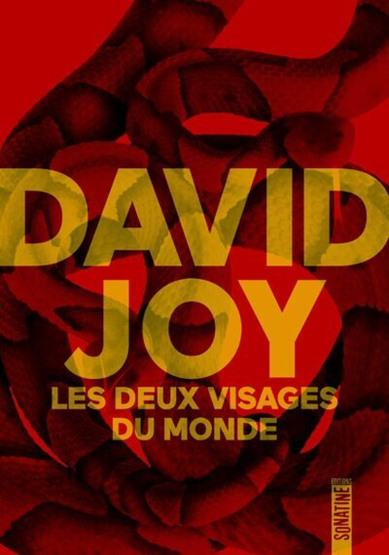 Les Deux Visages du monde - David Joy, Jean-Yves Cotté, David Joy, Jean-Yves Cotté - SONATINE