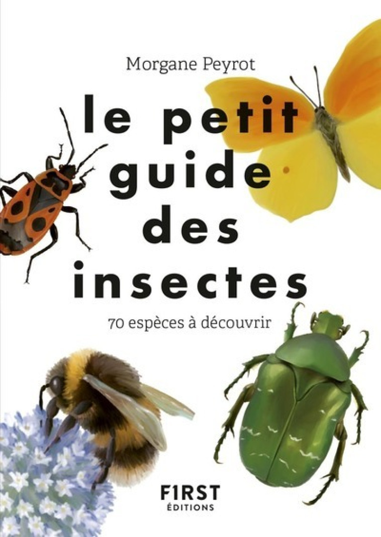 Le Petit guide des insectes - Morgane Peyrot, Morgane Peyrot - FIRST