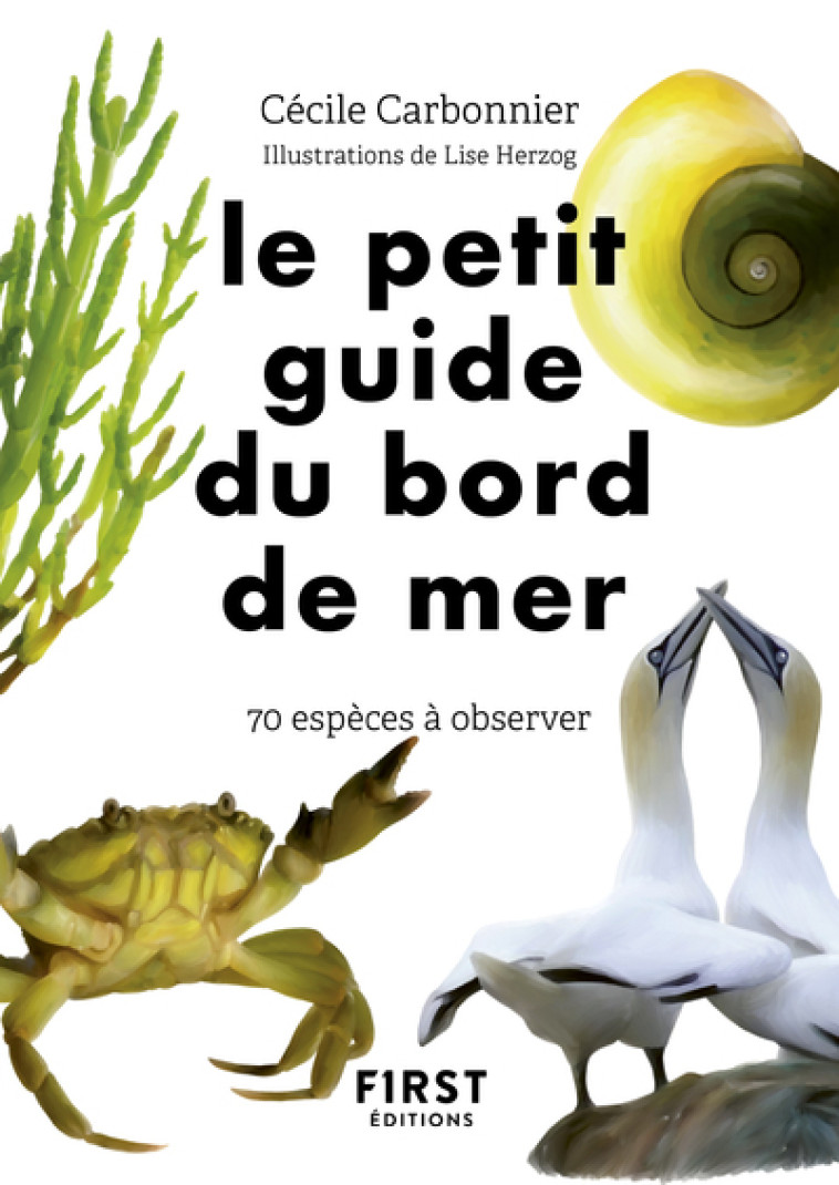 Le Petit Guide du bord de mer - Cécile Carbonnier, Lise Herzog, Cécile Carbonnier, Lise Herzog - FIRST