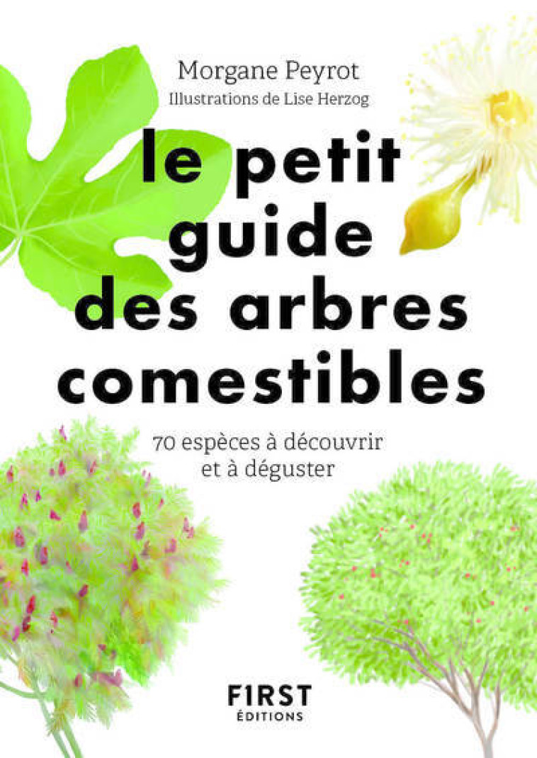 Petit guide des arbres comestibles - Morgane Peyrot, Lise Herzog - FIRST
