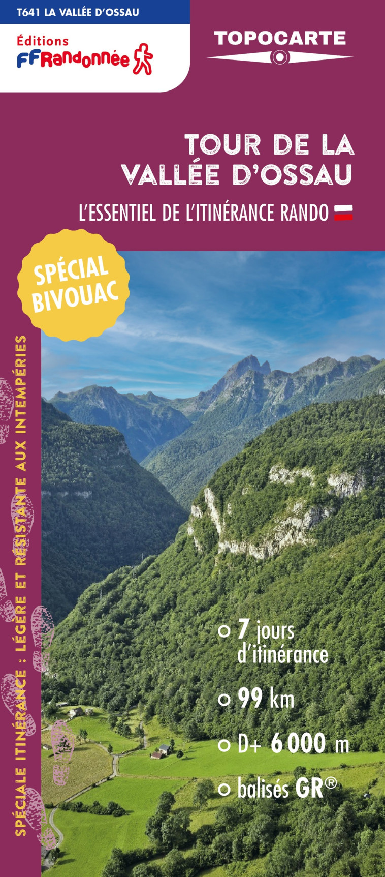 Tour de la Vallée d'Ossau -  Collectif,  Collectif - FFRP