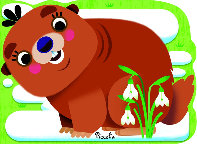 Marmotte - Mini animaux  - Marcella Grassi, Marcella Grassi - PICCOLIA