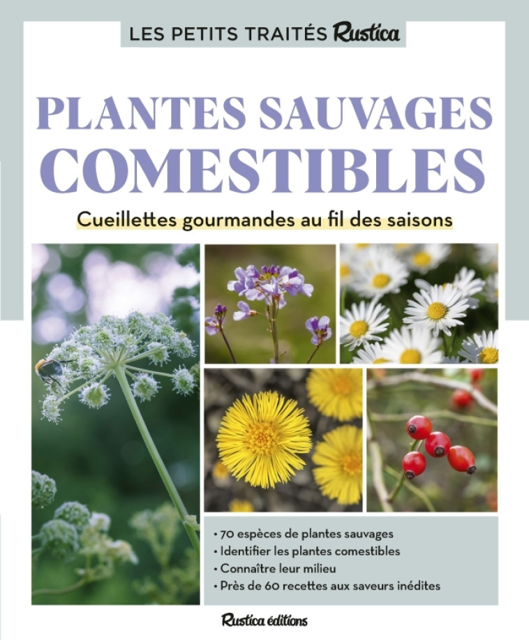 Le petit traité Rustica des plantes sauvages comestibles - Caroline Calendula, Christophe Monplaisir, Laurent Stubbe, Caroline Calendula, Christophe Monplaisir, Laurent Stubbe - RUSTICA