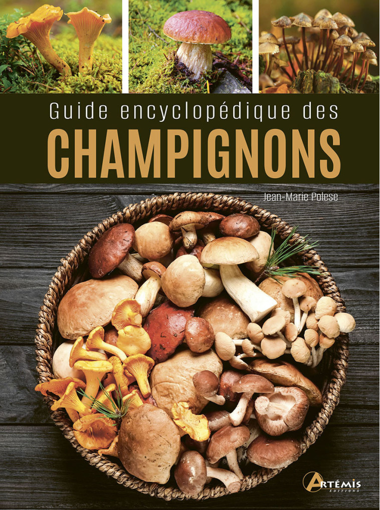 Guide encyclopédique des champignons -  Collectif - ARTEMIS