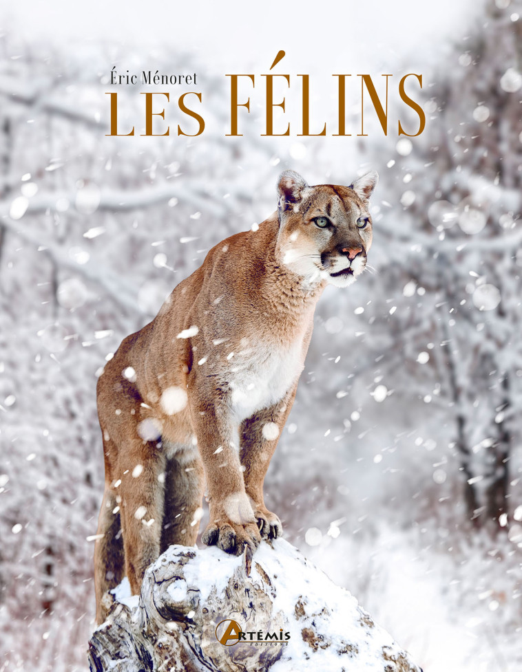 Les félins - Eric Ménoret,  E. MENORET, Eric Ménoret - ARTEMIS