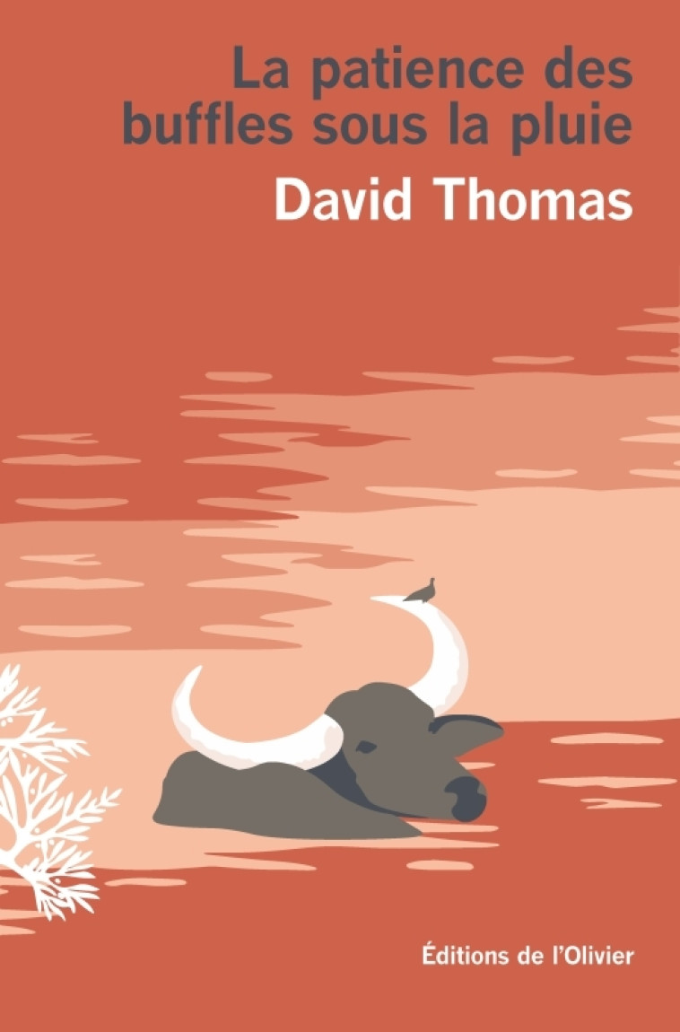 La Patience des buffles sous la pluie - David Thomas, David Thomas - OLIVIER
