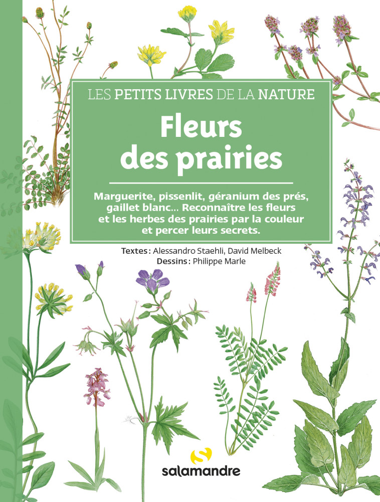 Les petits livres de la nature - Fleurs des prairies - David Melbeck, Alessandro Staehli, Philippe Marle - LA SALAMANDRE