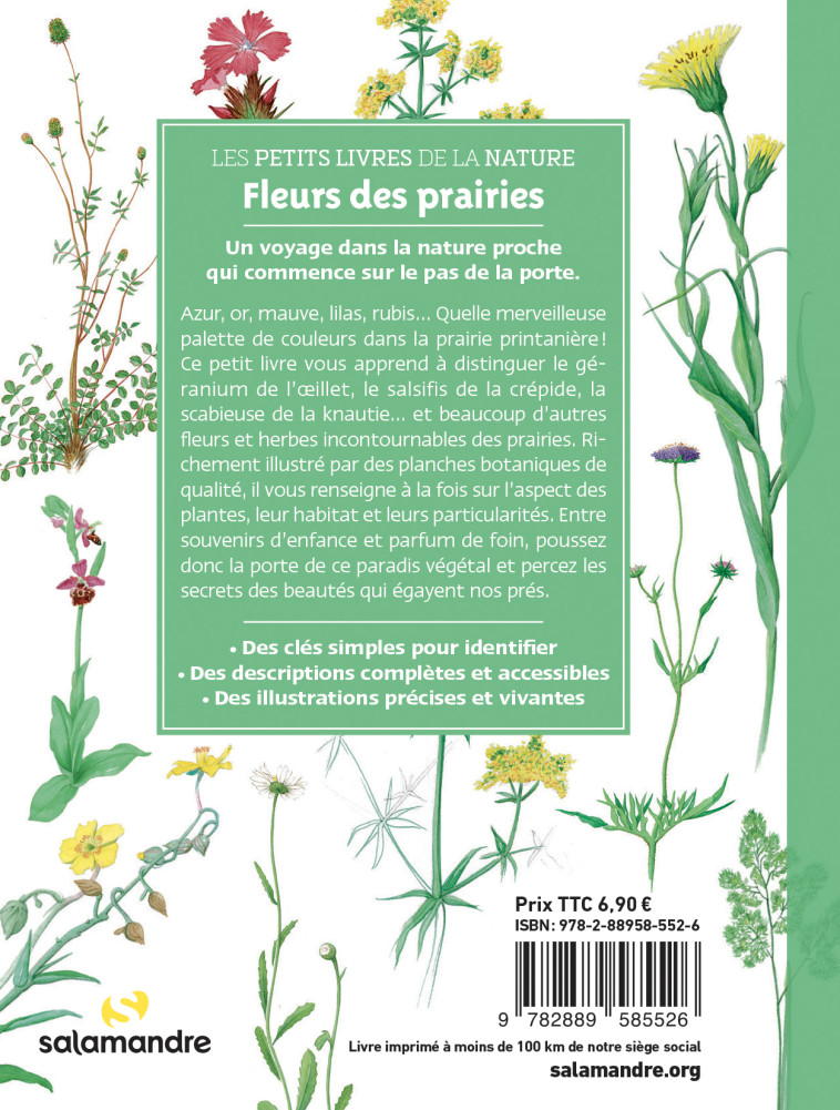 Les petits livres de la nature - Fleurs des prairies - David Melbeck, Alessandro Staehli, Philippe Marle - LA SALAMANDRE