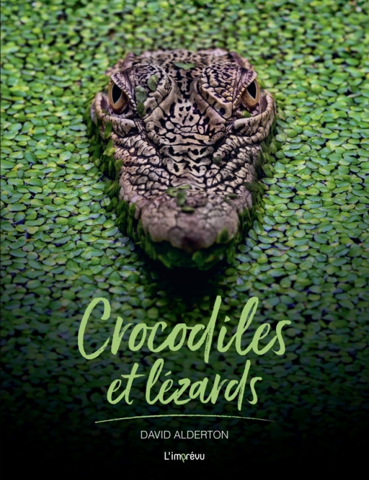 Crocodiles et Lézards - XXX - L IMPREVU