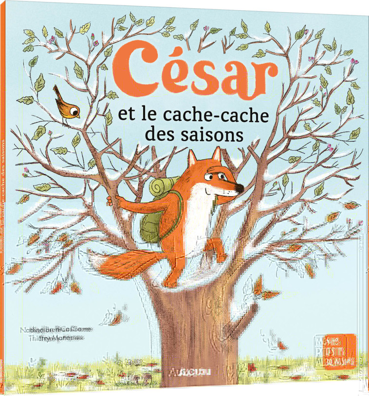 CESAR ET LE CACHE CACHE DES SAISONS - Nadine Brun-Cosme, Thierry MANÈS, Nadine Brun-Cosme, Thierry MANÈS - AUZOU