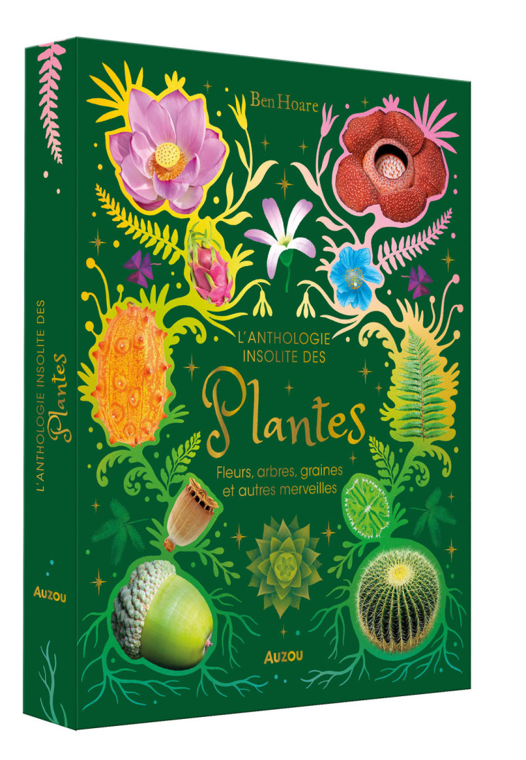 L'Anthologie insolite des plantes - Fleurs, arbres, graines et autres merveilles - Ben Hoare, Kaley McKean, Céline FLAHAULT, Ben Hoare, Kaley McKean, Céline FLAHAULT - AUZOU
