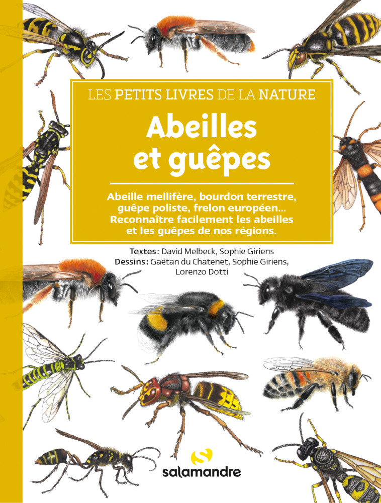 Abeilles et guêpes - David Melbeck, Sophie Giriens, Lorenzo Dotti, Sophie Giriens, Gaëtan Du Chatenet - LA SALAMANDRE