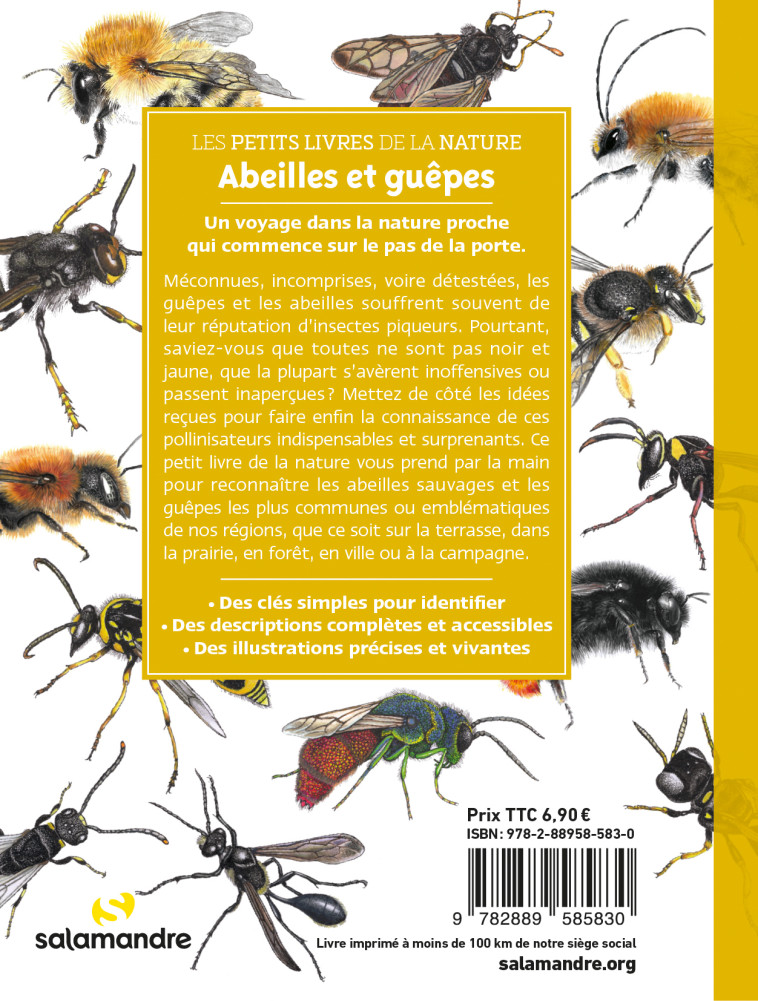 Abeilles et guêpes - David Melbeck, Sophie Giriens, Lorenzo Dotti, Sophie Giriens, Gaëtan Du Chatenet - LA SALAMANDRE