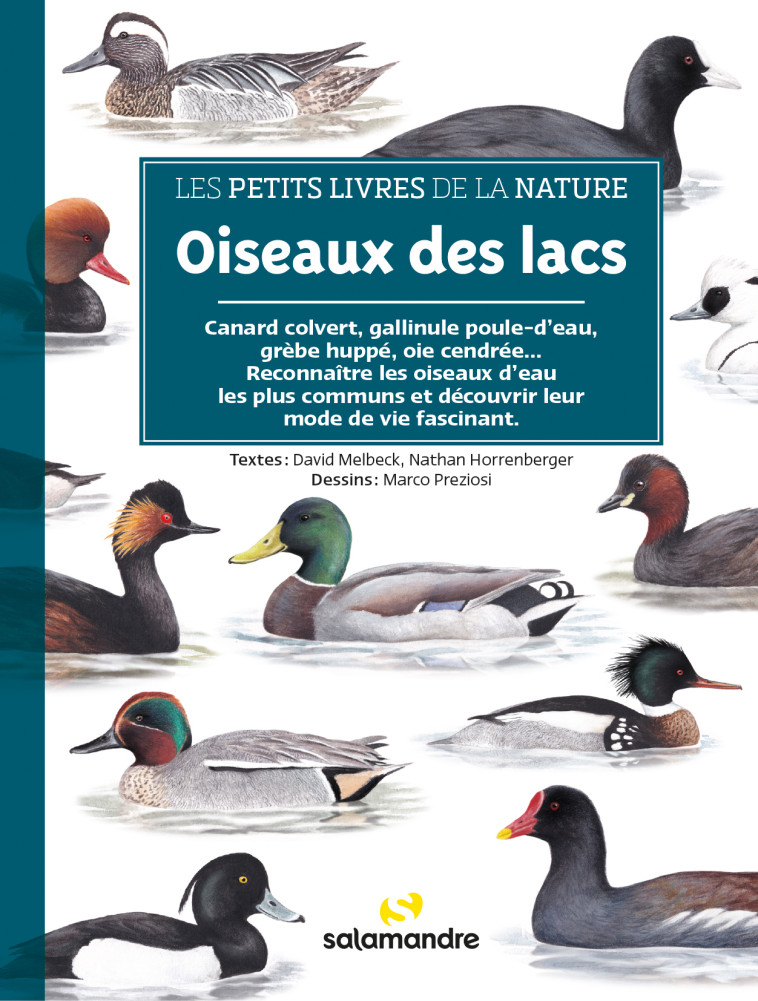 Oiseaux des lacs - David Melbeck, Marco Preziosi, Nathan Horrenberger - LA SALAMANDRE