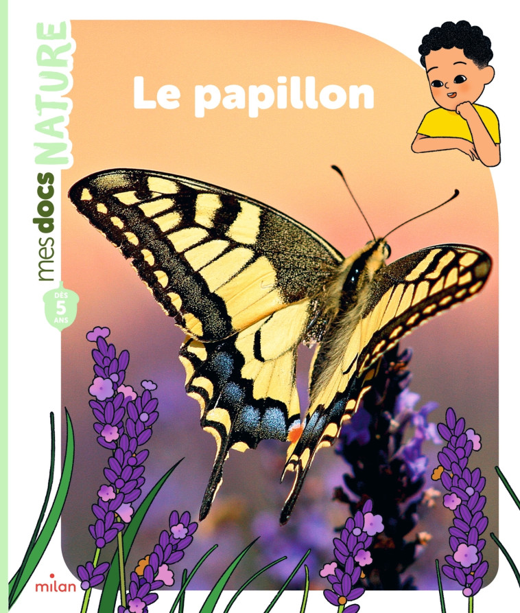 Le papillon - Stéphanie Ledu, Lucie Brunellière - MILAN