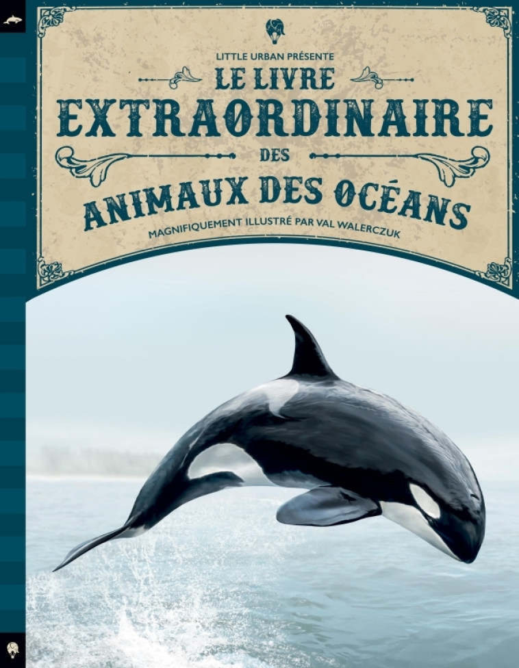 Le Livre extraordinaire des animaux des océans -  WALERCZUK Val,  JACKSON Tom - LITTLE URBAN