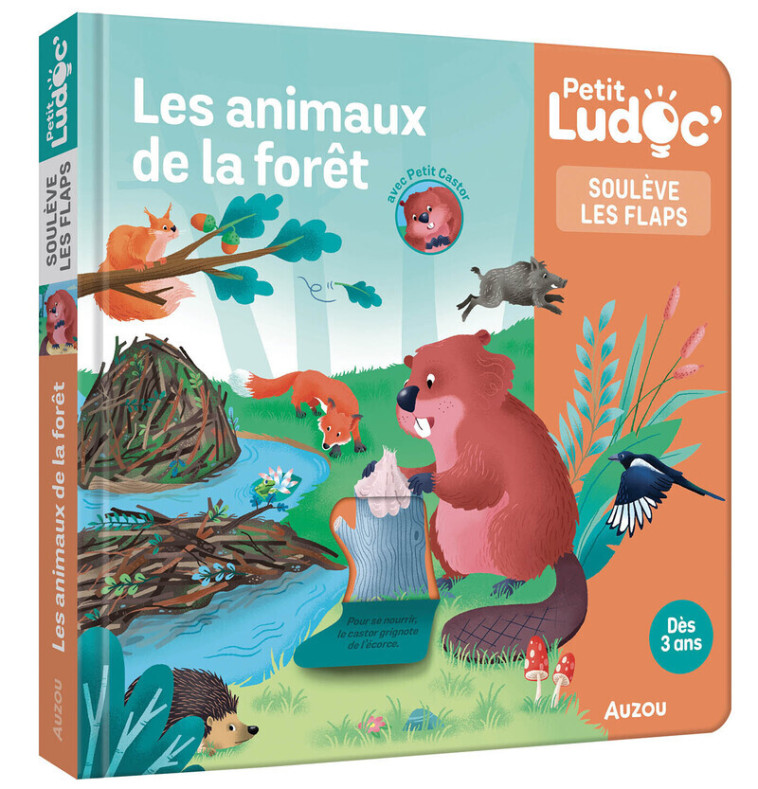 P'tit Ludoc - Soulève les flaps : Les animaux de la forêt - Sophie BLITMAN, Juliette Ravaux,  Loiselet, Camille Loiselet - AUZOU